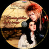 Fantasztikus labirintus (Old Dzsordzsi) DVD borító CD2 label Letöltése