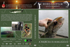 Horgászfilm gyûjtemény - A harcsa és horgászata (Precíz) DVD borító FRONT Letöltése