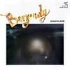 Bergendy - Aranyalbum (1971-1975) _1981 DVD borító FRONT Letöltése