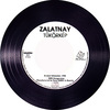 Zalatnay Sarolta - Tükörkép _2000 [CD] DVD borító CD1 label Letöltése