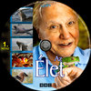 Az élet (Old Dzsordzsi) DVD borító CD1 label Letöltése