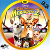 Gazdátlanul Mexikóban 2. (sasa) DVD borító CD1 label Letöltése