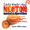 Szép Nyári Nap - Neoton musical az Operettben (2009) DVD borító FRONT Letöltése