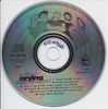 After Crying - Elsõ Évtized (bad) DVD borító CD1 label Letöltése