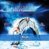 Csillagkapu - Folytonosság  (Jencius) DVD borító CD1 label Letöltése