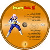 Dragon Ball Z 15. (fero68) DVD borító CD1 label Letöltése