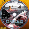Cáparajzás (atlantis) DVD borító CD1 label Letöltése
