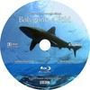 Bolygónk, a Föld (jencius) DVD borító CD4 label Letöltése