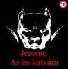 Jerome - Az én kutyám DVD borító FRONT Letöltése