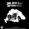 Cool Head Clan - Szép Hazám Útjain DVD borító FRONT Letöltése