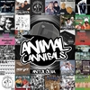 Animal Cannibals - Antológia DVD borító FRONT Letöltése