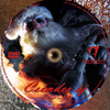 Csendes éj (2012) (gab.boss) DVD borító CD2 label Letöltése