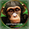 Csimpánzok (debrigo) DVD borító CD1 label Letöltése