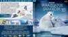 Varázslatos sarkvidék 3D (stigmata) DVD borító FRONT Letöltése