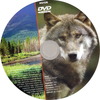Ragadozók testközelben 25. - Szürke farkas DVD borító CD1 label Letöltése