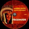 Gojko Mitic indián gyûjtemény - Tecumseh (Old Dzsordzsi) DVD borító CD2 label Letöltése