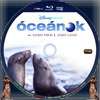 Óceánok (debrigo) DVD borító CD4 label Letöltése