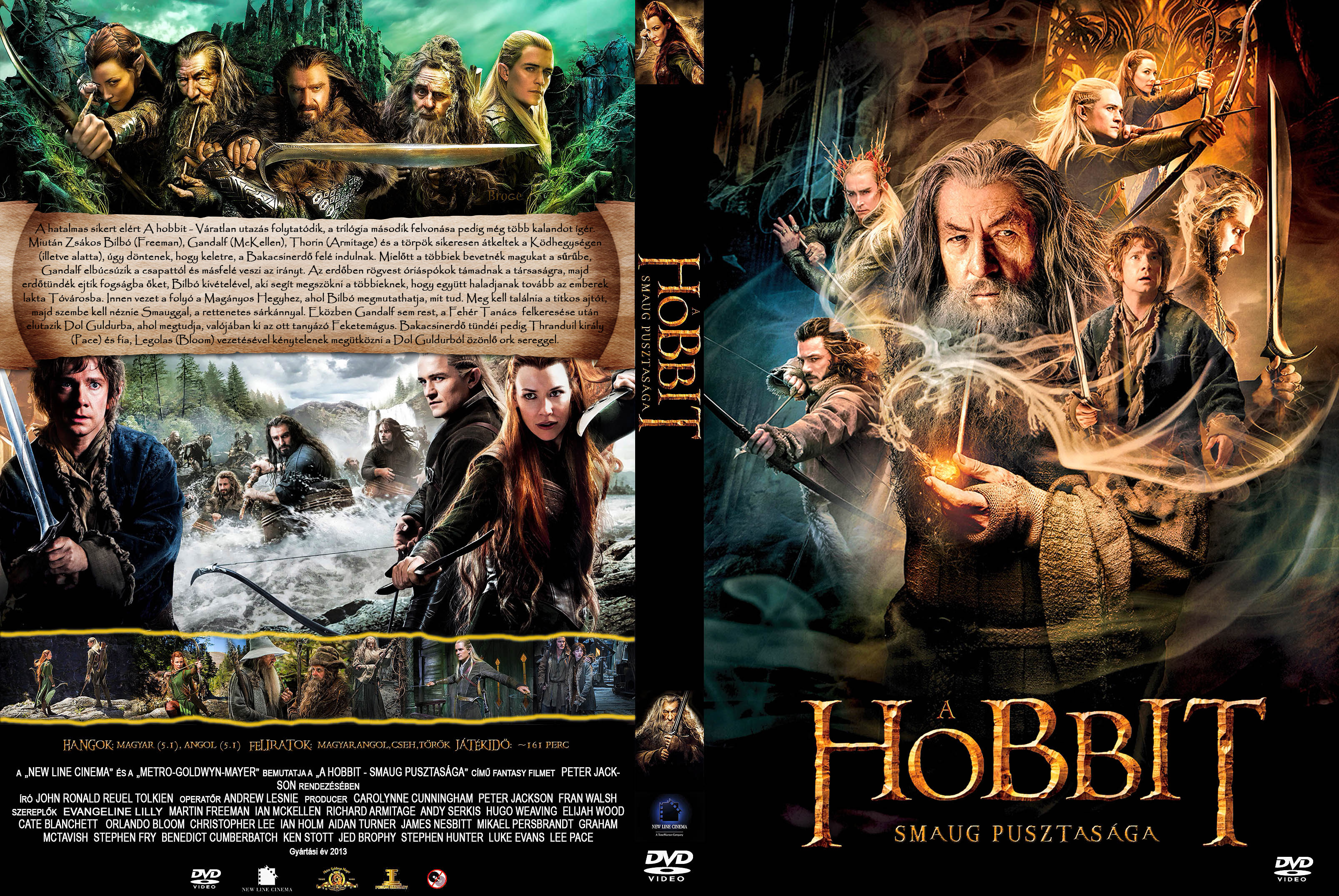 Coversclub Magyar Blu Ray Dvd Boritok Es Cd Boritok Klubja A Hobbit Smaug Pusztasaga Zoldsapkas
