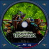 Tini nindzsa teknõcök (2014) (debrigo) DVD borító CD1 label Letöltése