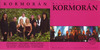 Kormorán - Best of... - Harminc év legjobb dalaiból DVD borító FRONT Letöltése