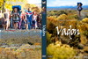 Vadon v2 (debrigo) DVD borító FRONT Letöltése