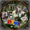 Piknik (debrigo) DVD borító CD4 label Letöltése