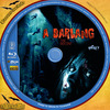 A barlang (2005) (atlantis) DVD borító CD1 label Letöltése
