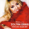 Zoltán Erika - Hangunk célba ért DVD borító FRONT Letöltése