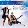 A két zsivány - Kezeket fel, mert jövünk! DVD borító FRONT Letöltése