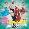 Hungária - Micsoda buli (2013) DVD borító FRONT Letöltése