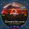 David Gilmour - Live at Pompeii (debrigo) DVD borító CD1 label Letöltése