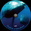 Őrjárat a bálnákért (Old Dzsordzsi) DVD borító CD1 label Letöltése