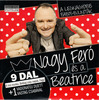 Nagy Feró és a Beatrice - A legnagyobb babos-bulinóták DVD borító FRONT Letöltése