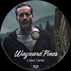 Wayward Pines 1-2. évad (Old Dzsordzsi) DVD borító CD4 label Letöltése