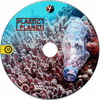 Plastic Planet: Földünk, a mûanyag bolygó DVD borító CD1 label Letöltése