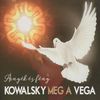 Kowalsky meg a Vega - Árnyék és fény DVD borító FRONT Letöltése