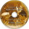 Gárdonyi Géza - Egri csillagok (hangoskönyv) DVD borító CD1 label Letöltése