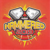 Hammered 2019 DVD borító FRONT Letöltése