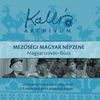 Kallós Zoltán gyûjtése - Mezõségi magyar népzene - Magyarszovát-Búza - 2CD DVD borító FRONT slim Letöltése