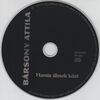 Bársony Attila - Hamis álmok közt DVD borító CD1 label Letöltése